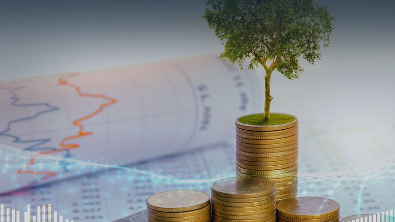 上海创业公司管理咨询推荐